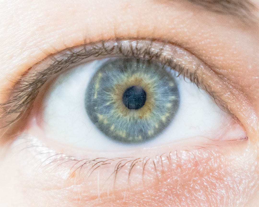 Iris eines menschlichen Auges
